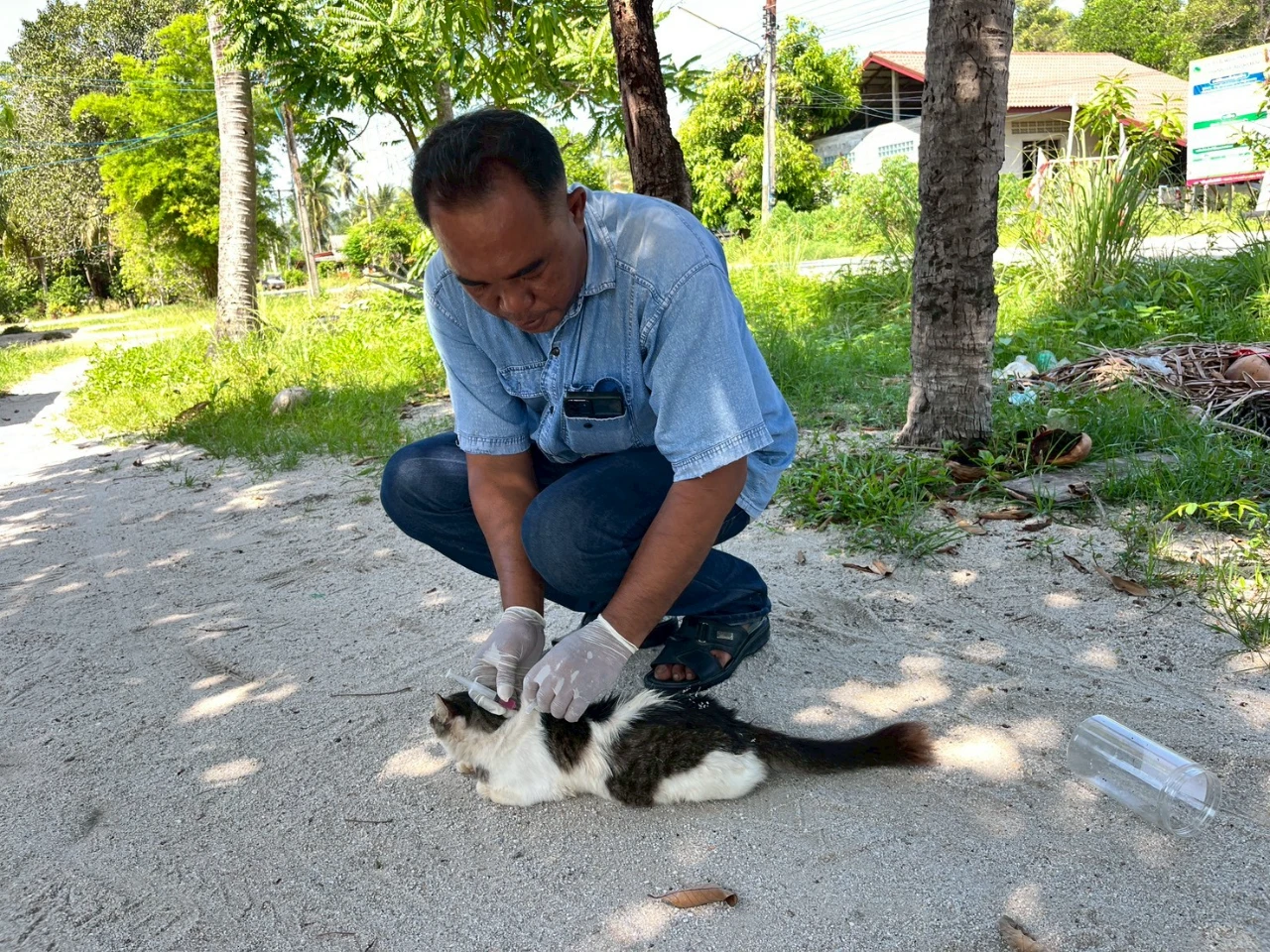 catalogs_file_410_50_0_836251.webp