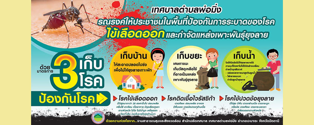 slide_file_11.webp